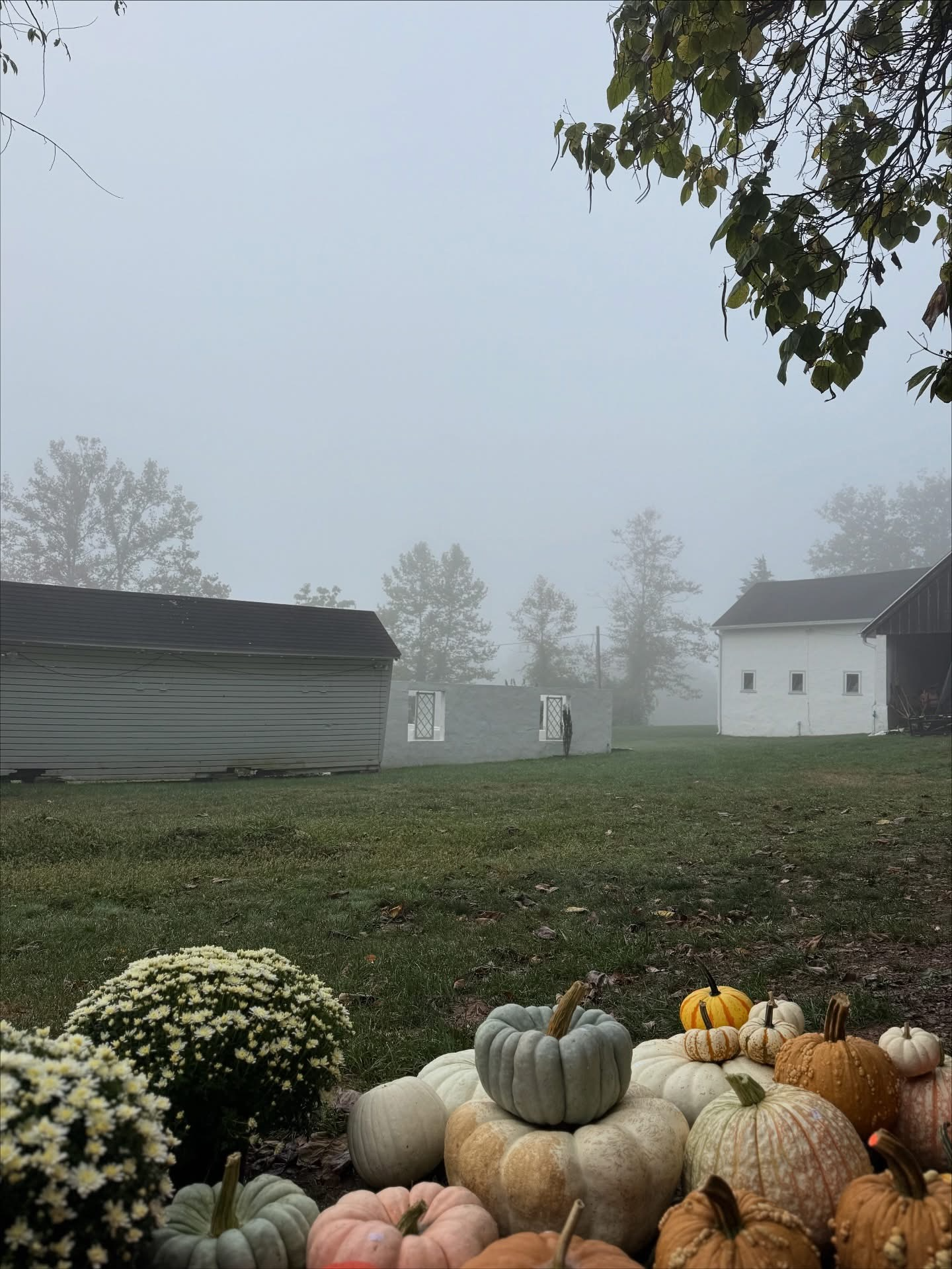 Coming Home To Your Sacred Self: A Women's Retreat for Embodied Listening, Renewal, &amp; Transformation
