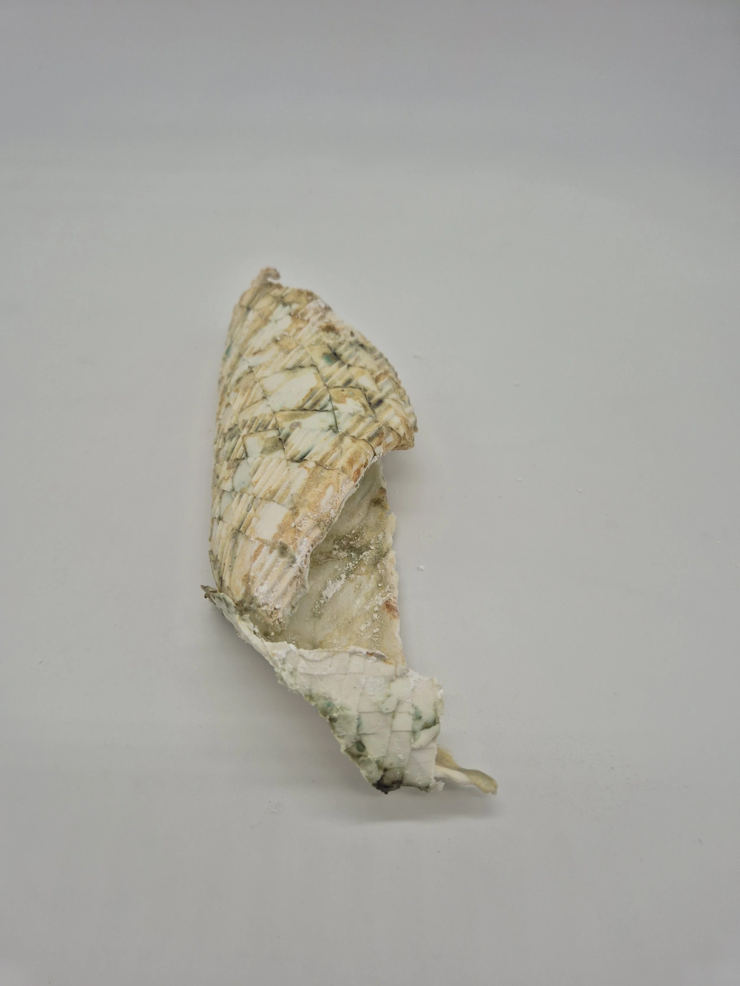 Porseleinen object dat lijkt op een gebroken schelp op een witte achtergrond