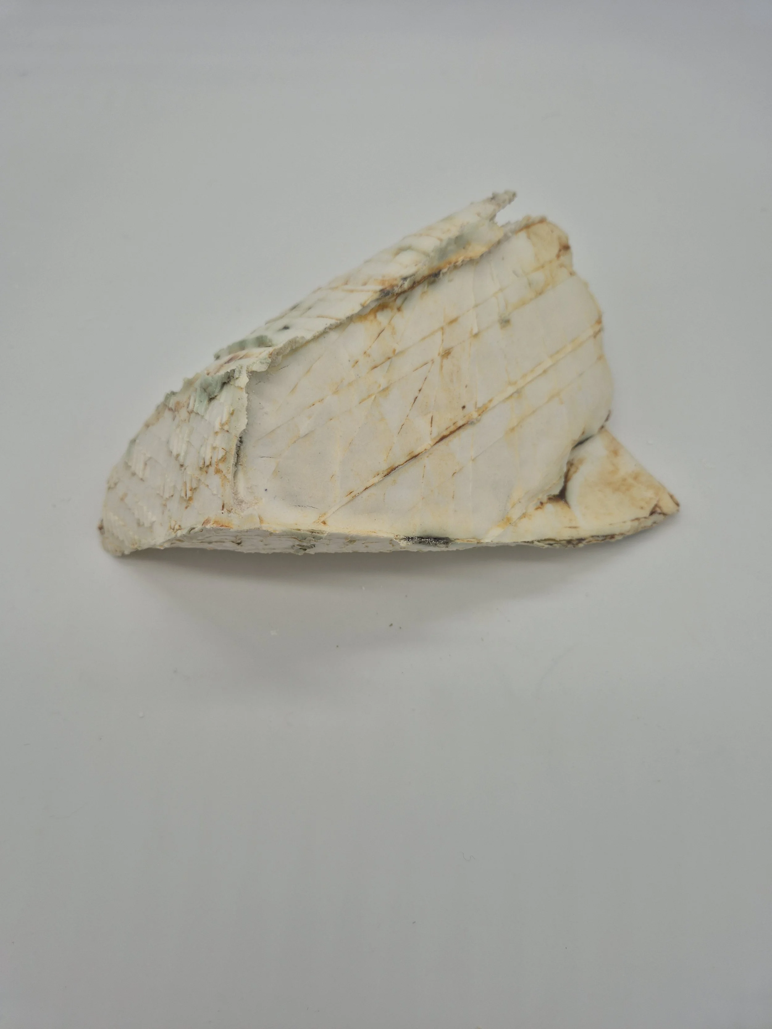 Keramiek die lijkt op blauwe kaas met schimmel op een witte achtergrond.