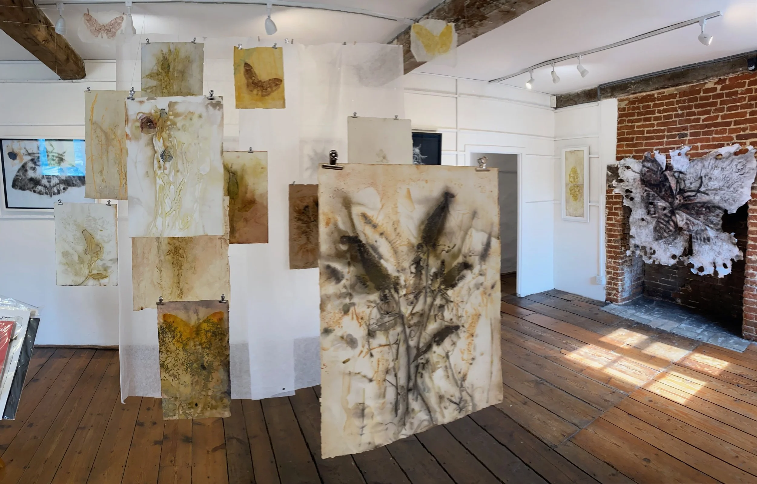 Installation view of 'lovers of the World' Hanging Eco Prints at Halesworth Gallery 2024