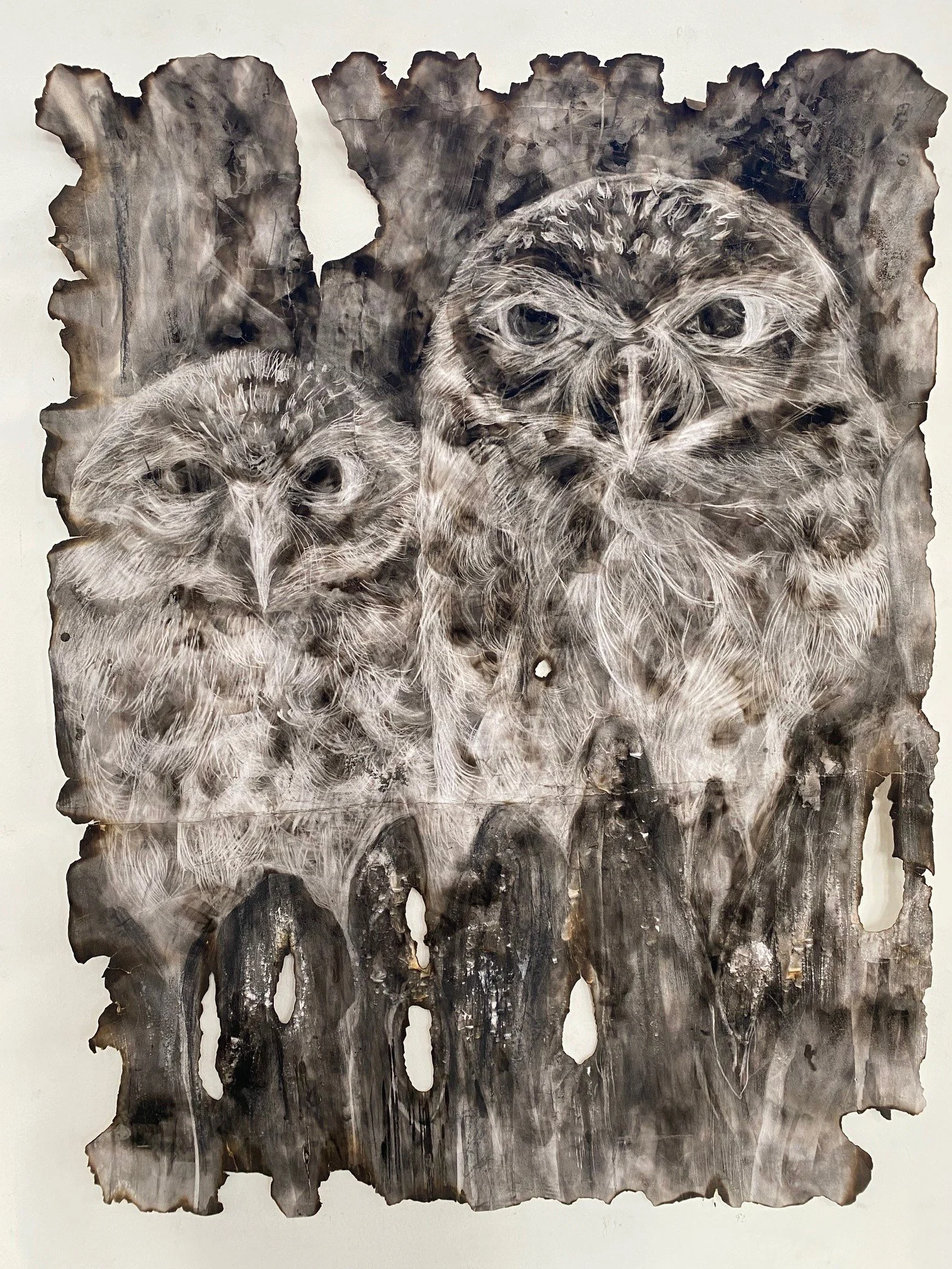 A mixed media artwork features two detailed owls with piercing eyes, painted in shades of white and gray on a distressed, torn piece of wood or paper backdrop.