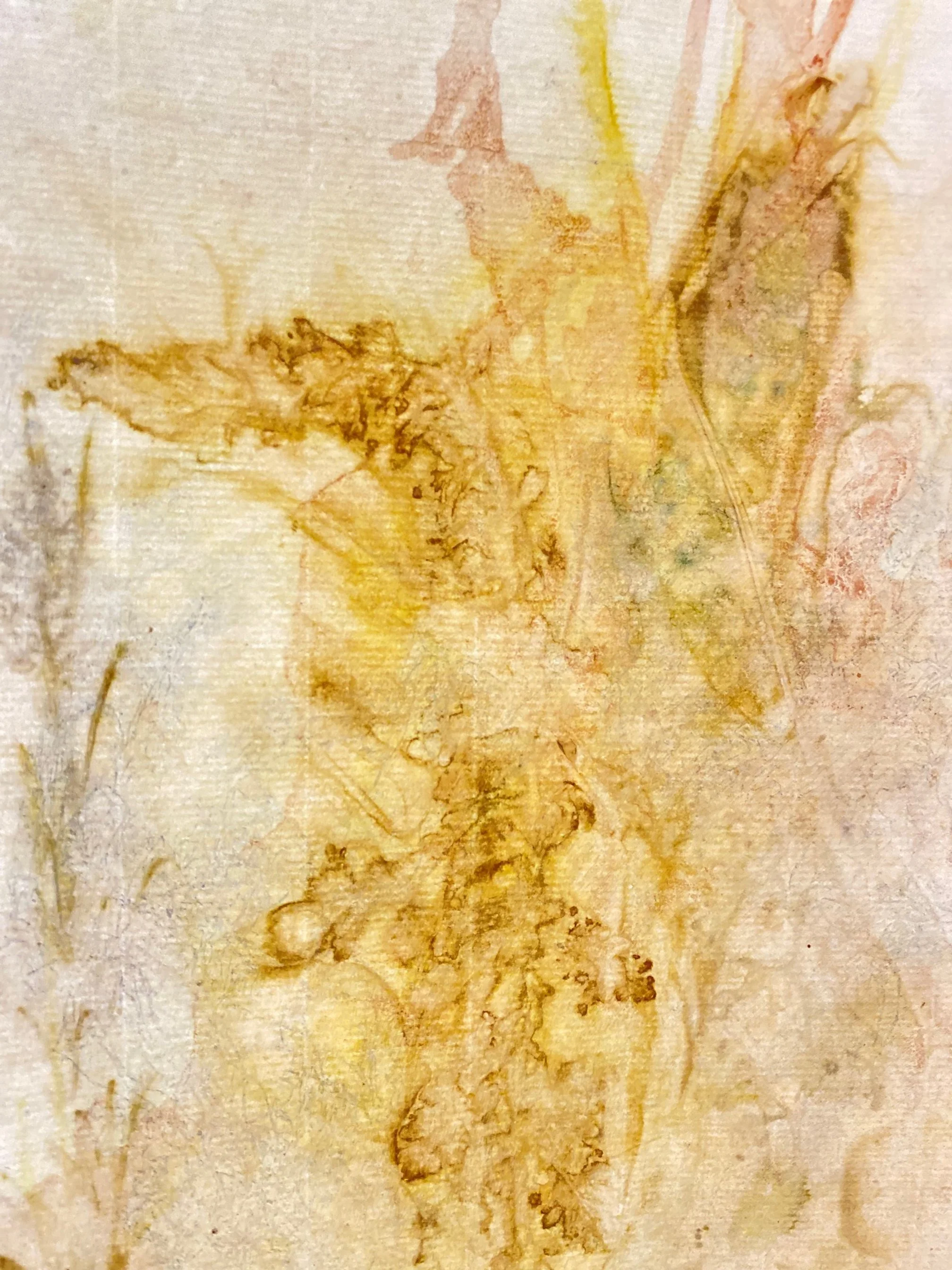 print4.jpg