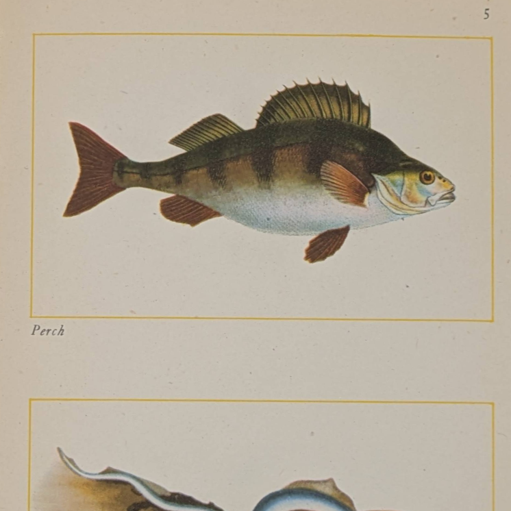 Untitled_20260515_153857.png