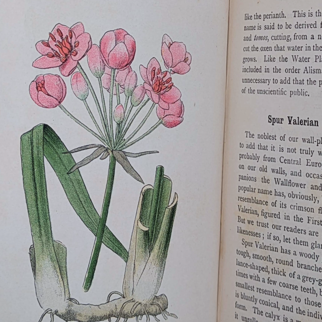 Vintage Nature Book (9).png
