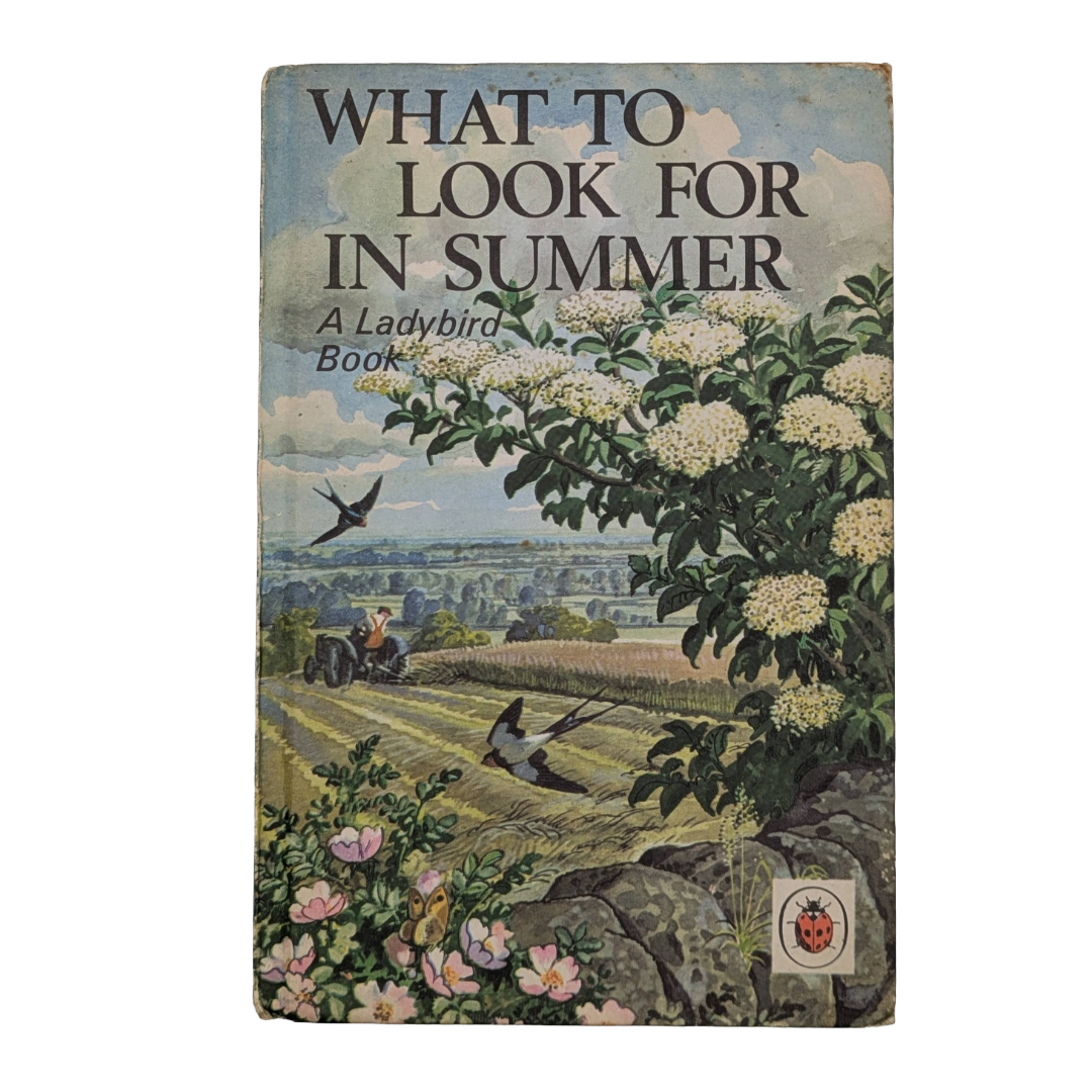 vintage children's book illustrated colour plates Six Bookshop