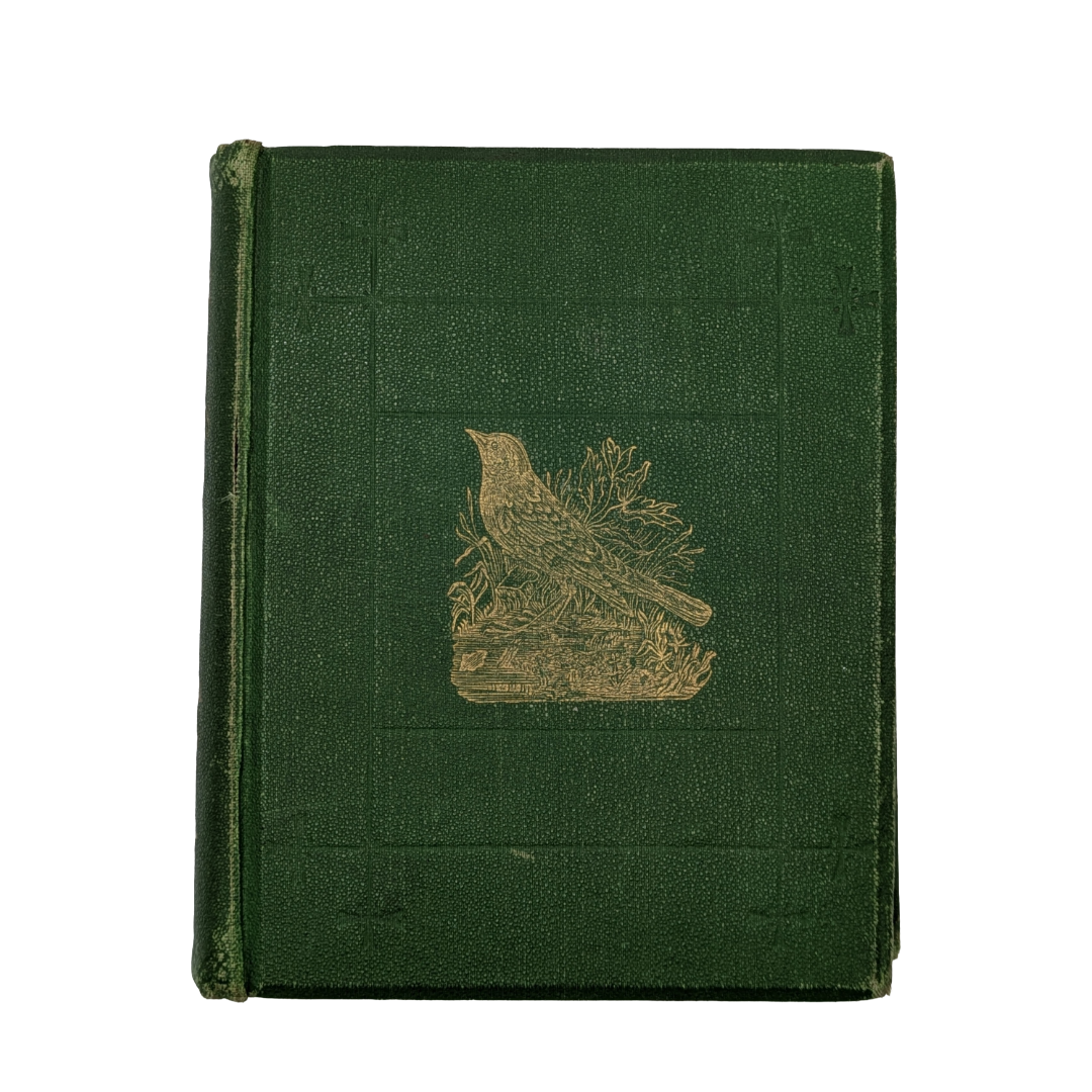 anne pratt birds book (1).png