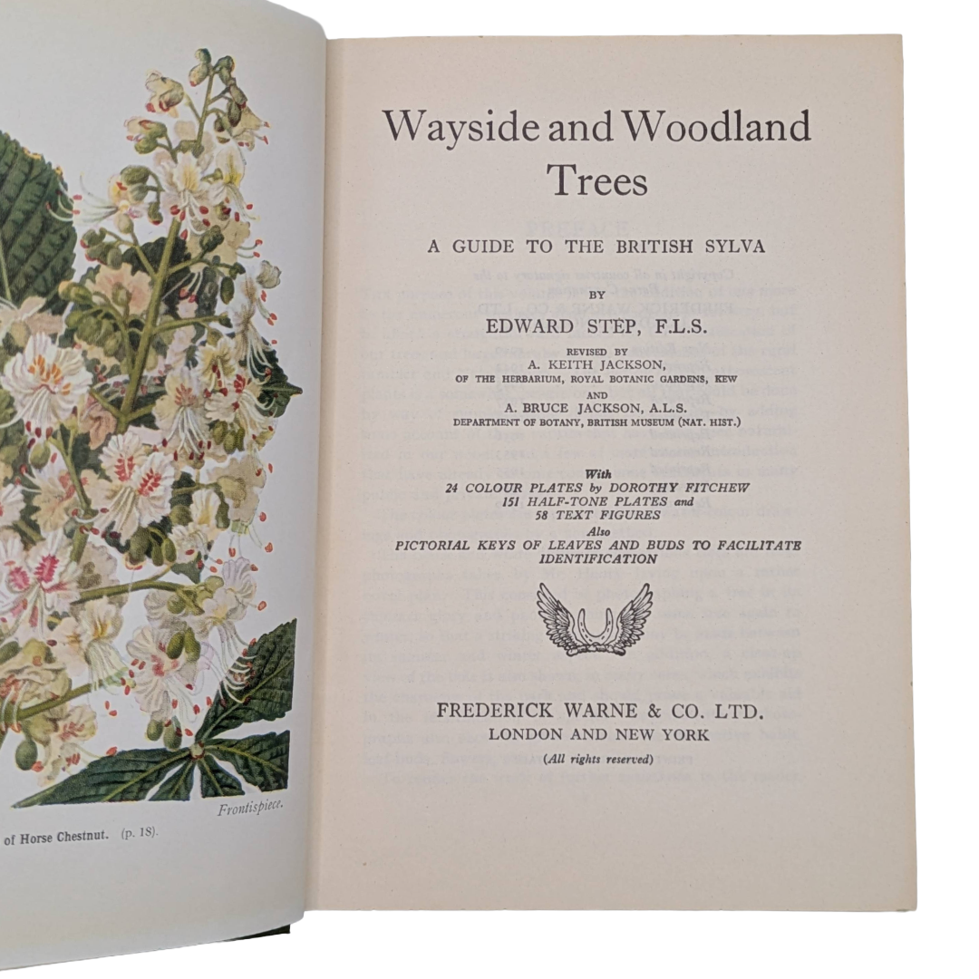 Woodland Trees, 1960 natural history book