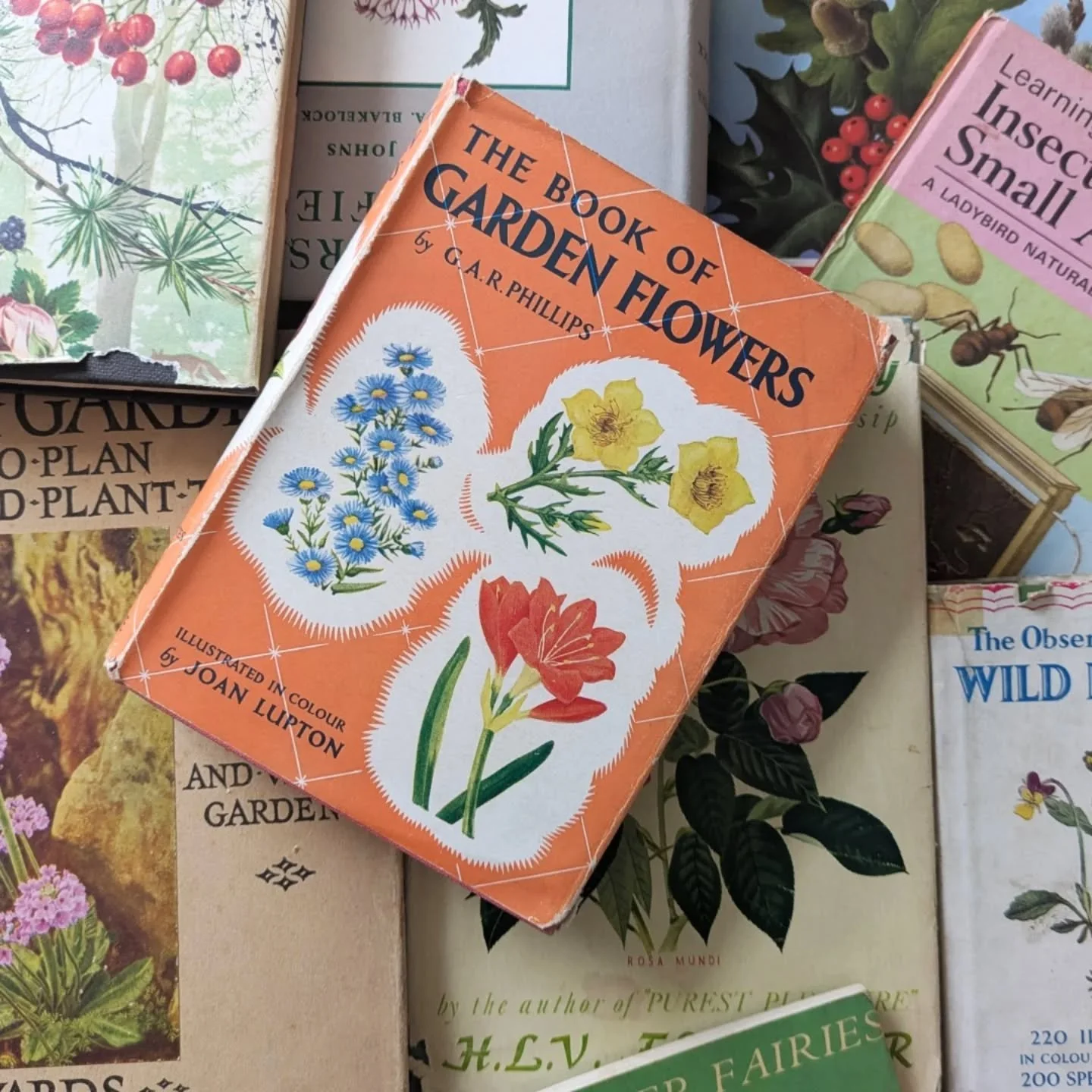 My eBay shop is now open. Decided to pay for the full store. I'm adding books throughout the month with a current goal of 100 books in the shop, 30 drafted.