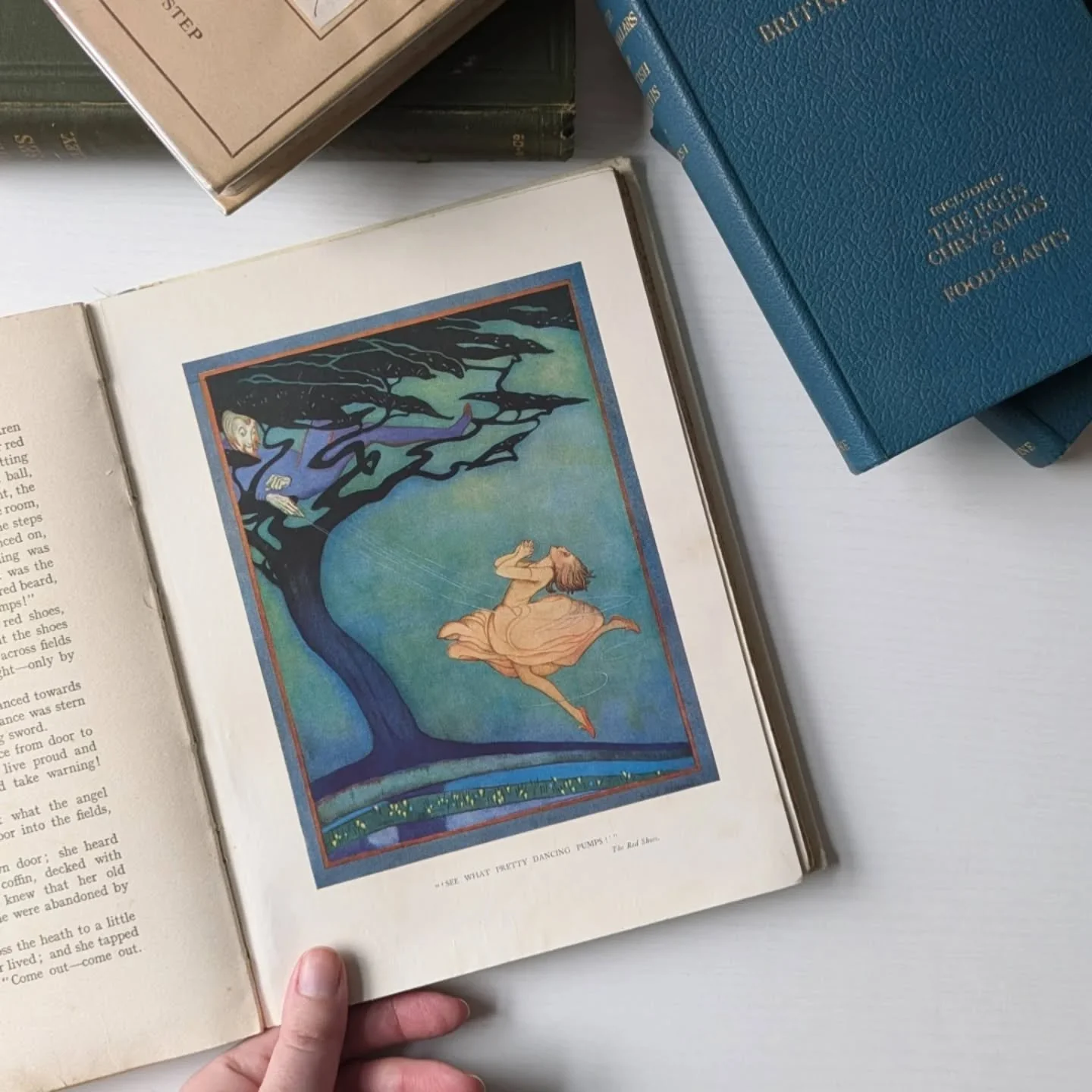 eBay Job Lot. I now have 100 books for sale on eBay. Including some rare antique items, illustrated natural history and New Naturalist books (&pound;10). Every book has a clear description and photographs. I can also bundle books together for UK post