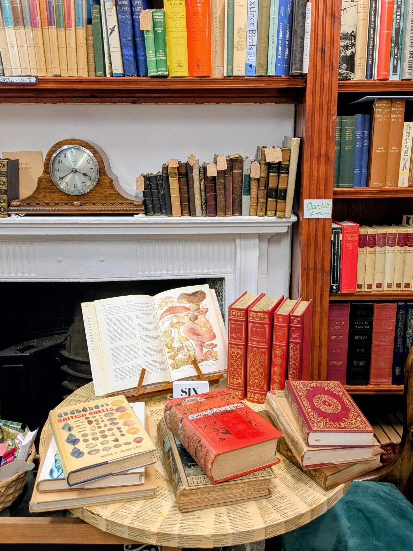 My last table display @aldousbooks Thank you for letting me have a space at your shop this year! If you're in Liverpool this weekend, visit the Bluecoat Chambers for a three-day book market (12th, 13th, 14th) and while there pop next door to Aldous B