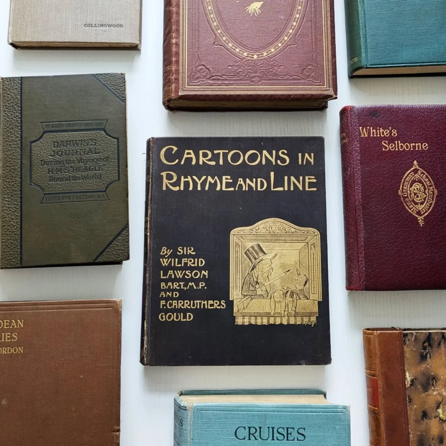 New eBay books. Some unique items from a little house call, natural history, sport &amp; travel. I can also bundle postage for UK buyers. 

#booksellers #antiquebookseller #bookssale