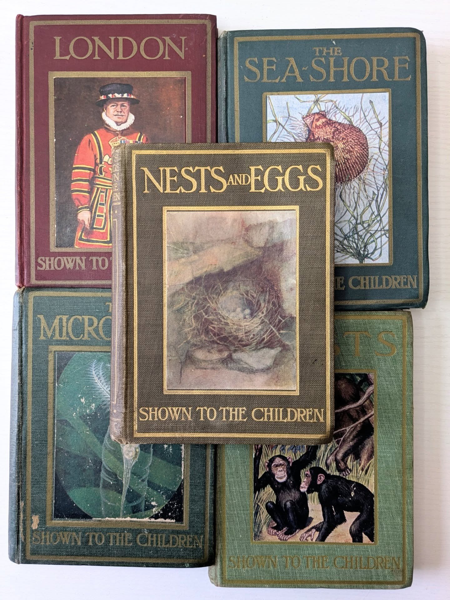 New Books 📚 Shown to the children series, all illustrated, colour plates, themes include nature, animal, botanical. Free delivery UK 🚚 

Only &pound;10 each

Website link in description

#rarebookshop #vintagebookcover #ukbookseller