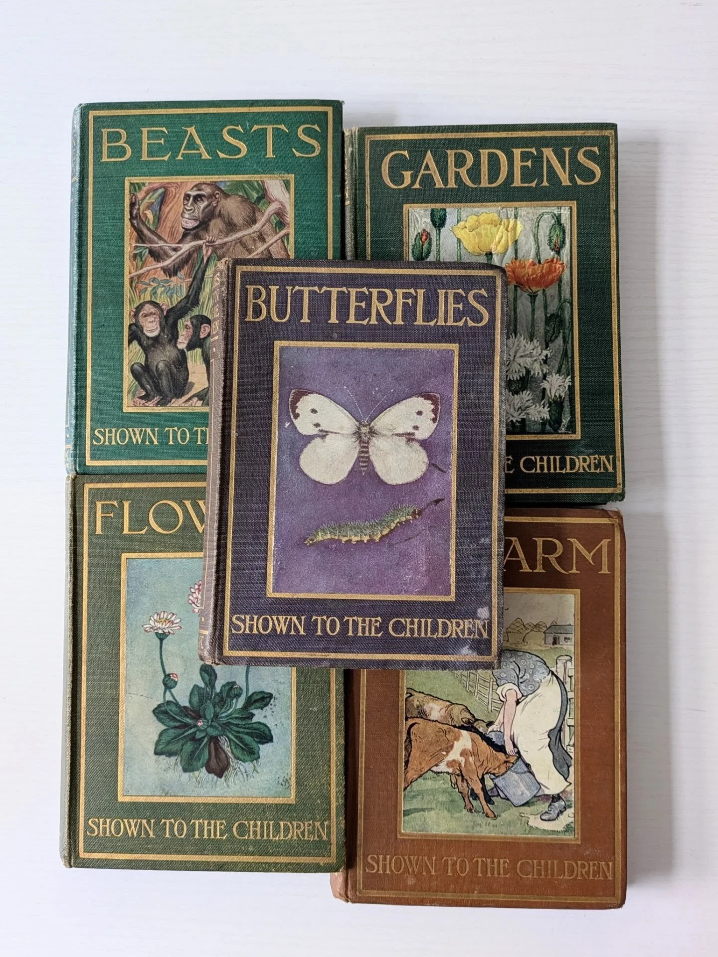 📚 Books. Shown to the children vintage books, 1912&ndash;1920. These sold very well last month. I doubt I will find more anytime soon. 

1.	Butterflies, &pound;20
2.	Flowers, &pound;20
3.	Gardens, &pound;20
4.	Beasts, &pound;20
5.	Painting, &pound;1