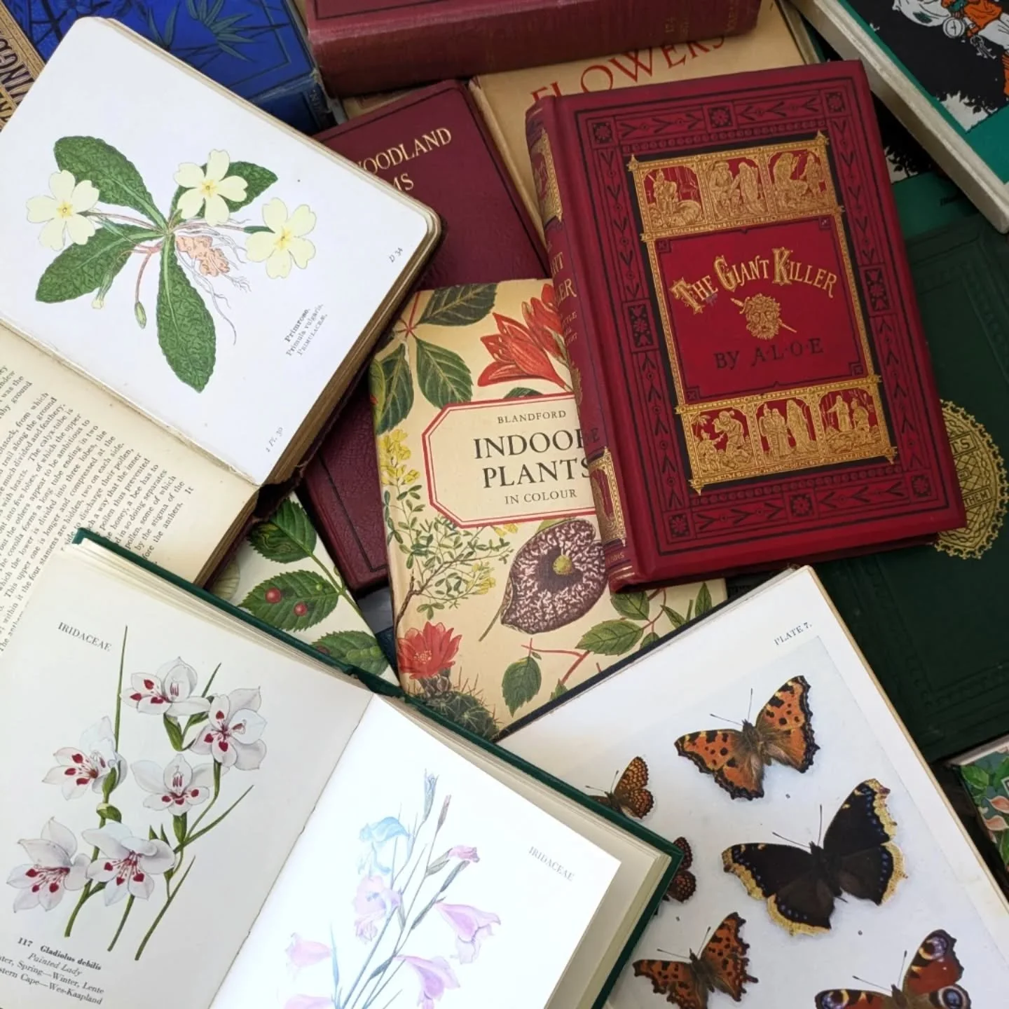 ☘️ Quiz books. I have a box of books with a range of themes, including vintage classics, botanical, folklore, and natural history. 

If you fill out the quiz on my website, I will send you a book based on your answers. 

Cost &pound;10 (+p&amp;p). I 