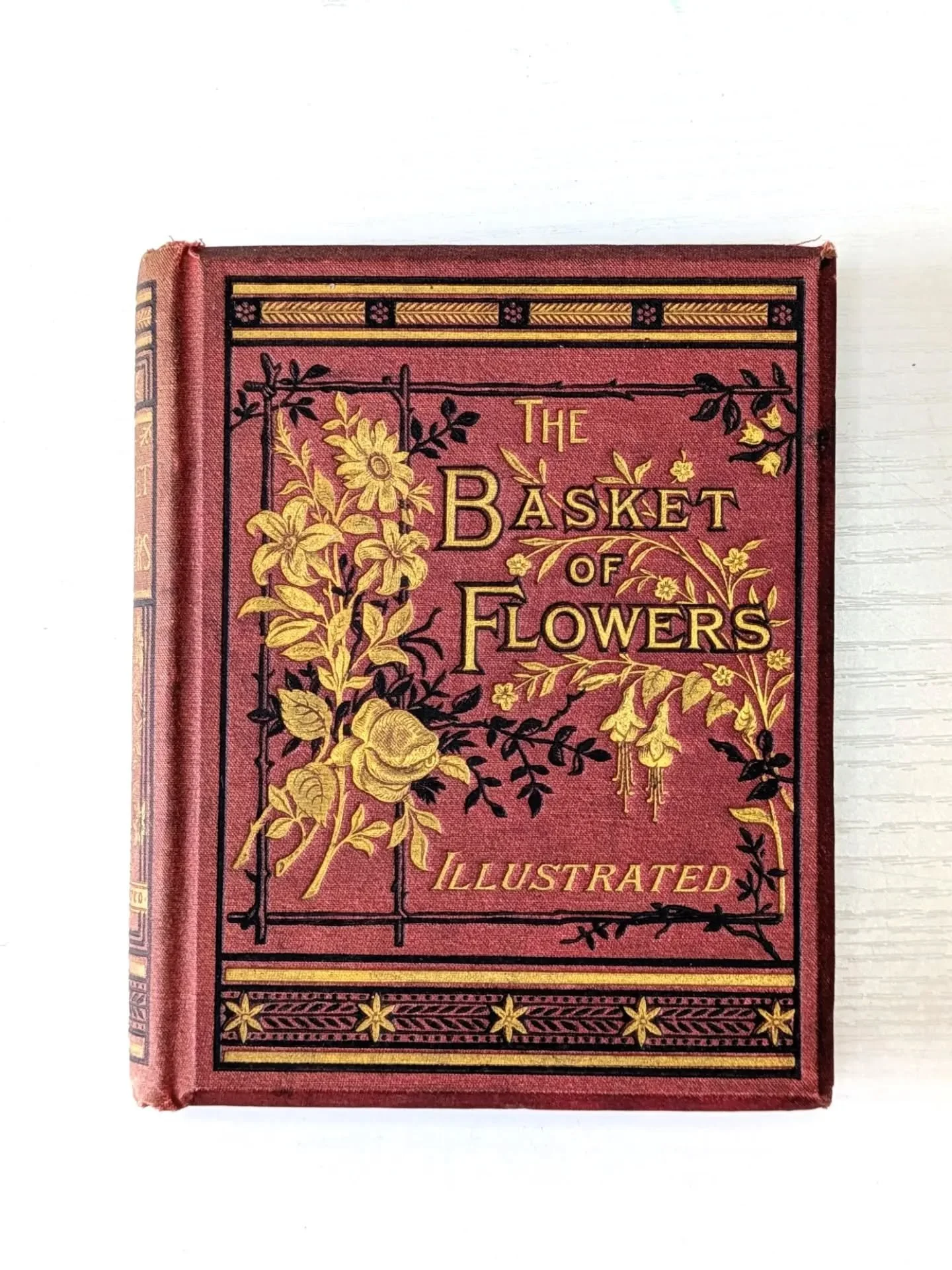 Weekly 📚 New natural history &amp; vintage books added to my website shop. 

1 Basket of Flowers, &pound;60
2 The Echoing Green, &pound;15
3 Blossoms, &pound;35
4 Sketchbook, &pound;15

Free delivery over &pound;35