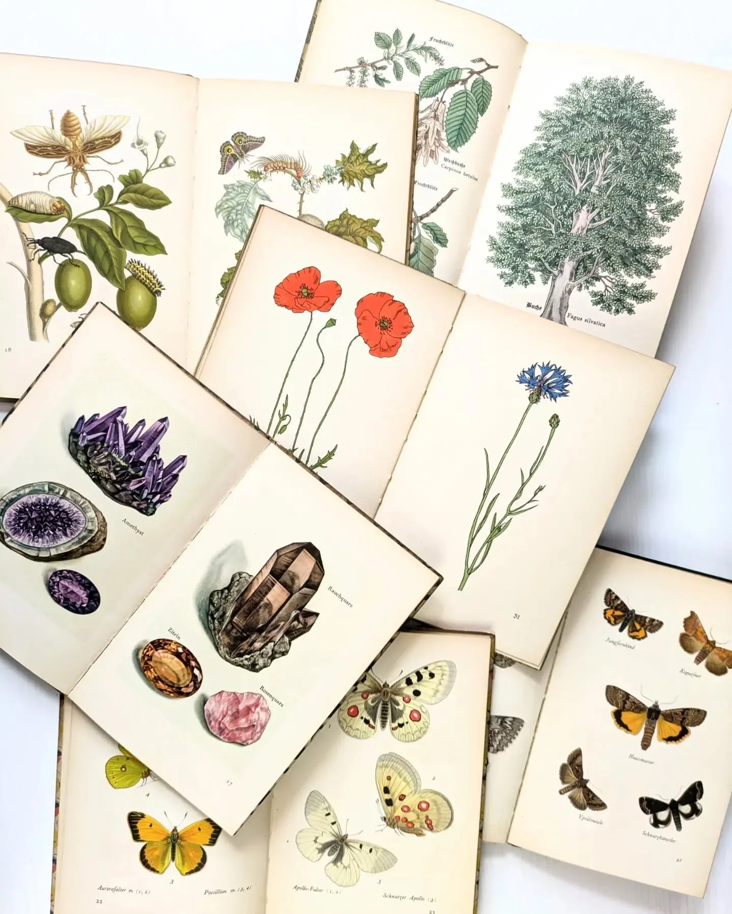 Vintage Books 📚 new illustrated books selling on my website shop. These are the original pre war editions from the 1930s. 

Free UK delivery orders &pound;35.

#vintagebooksforsaleuk