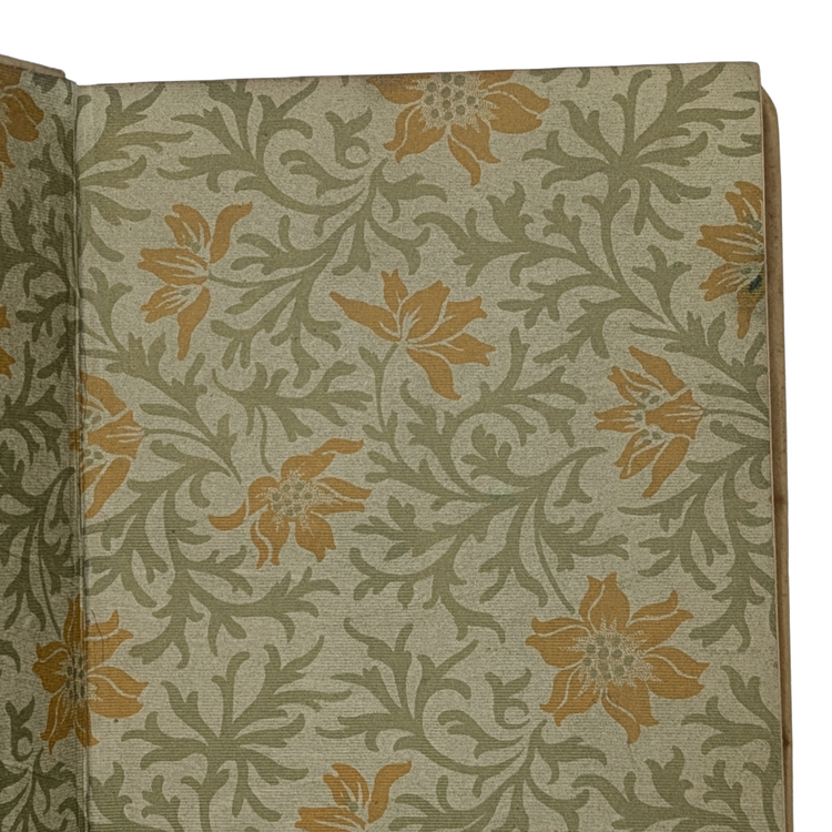 water+babaies+vintage+vellum+(2).webp