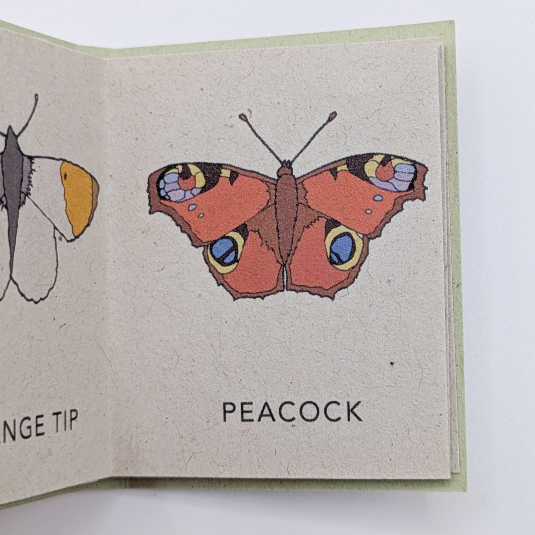 Tiny Books Butterflies (3).png