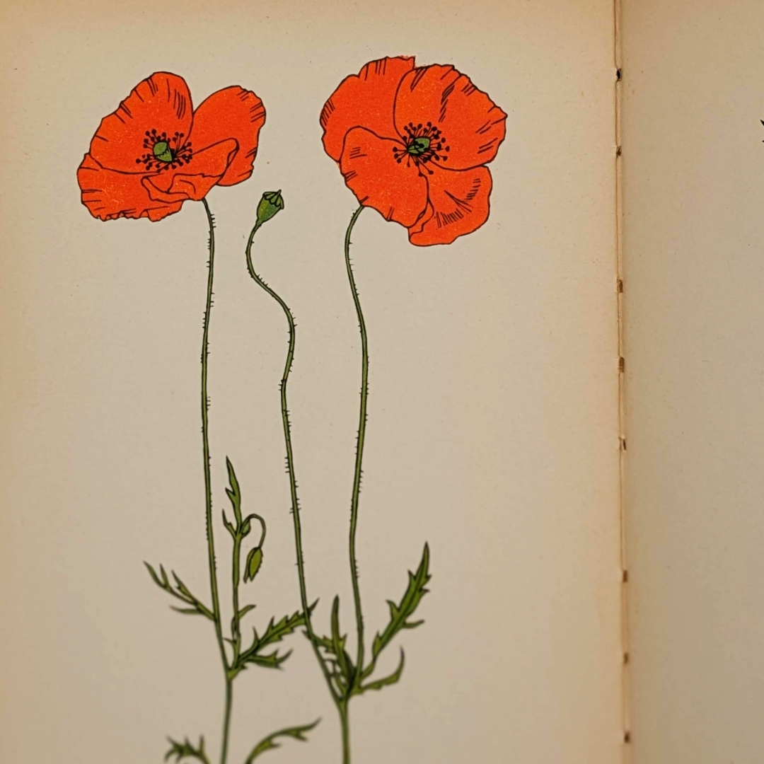 vintage flower book (5).png