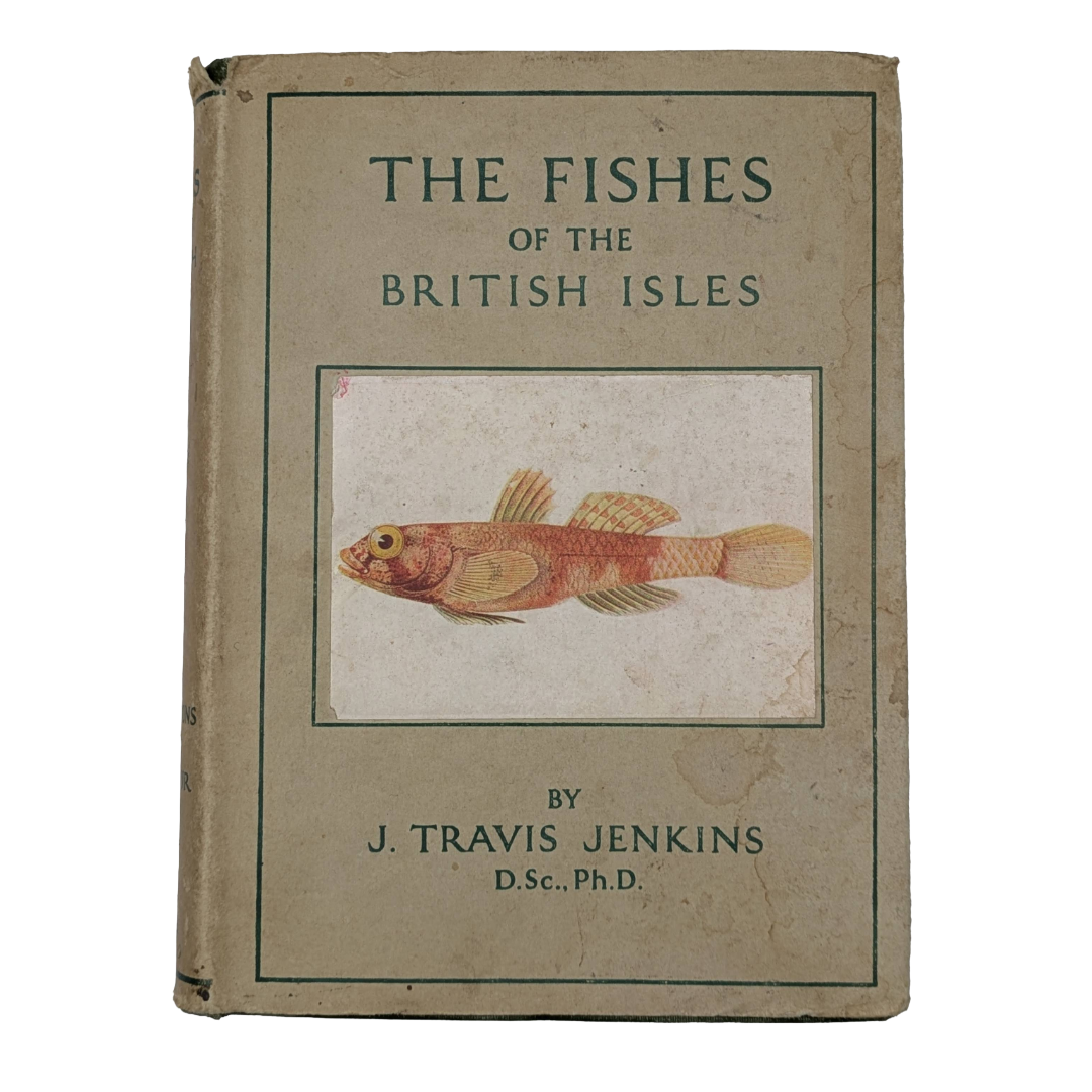 Fishes, 1942 natural history antique book