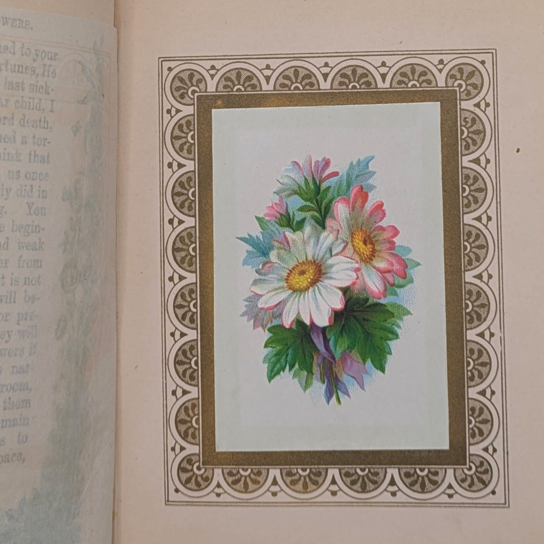 Basket of flowers rare book (8).png