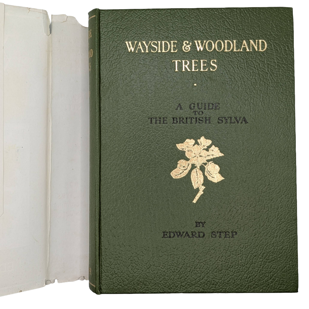 Woodland Trees, 1960 natural history book