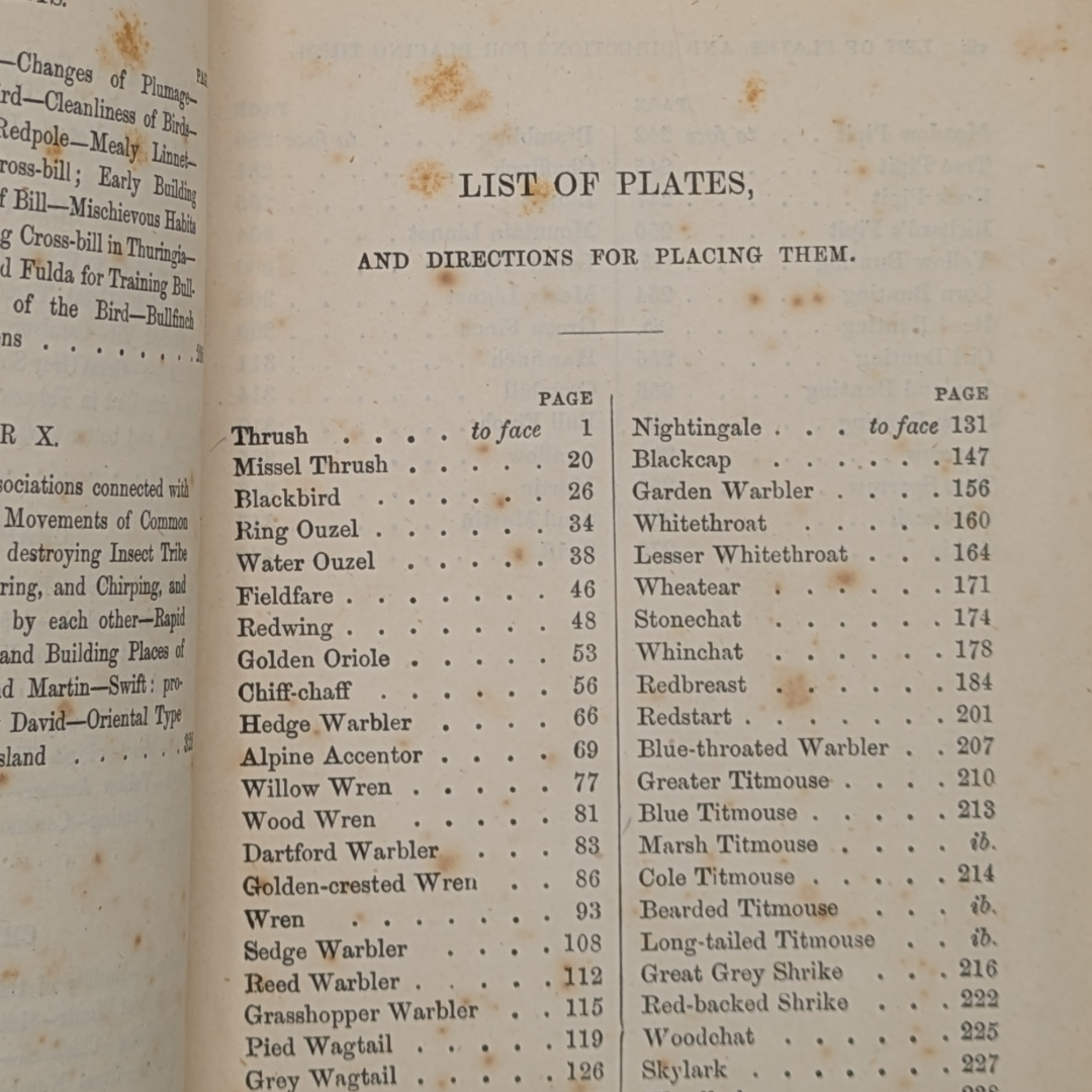 anne pratt birds book (5).png