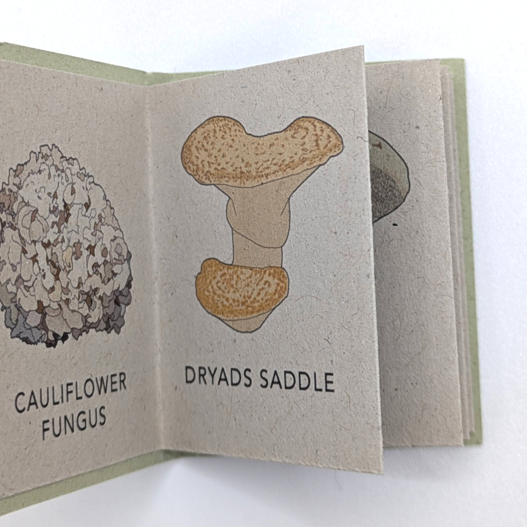Tiny+Book+wild+mushroom+%282%29.png