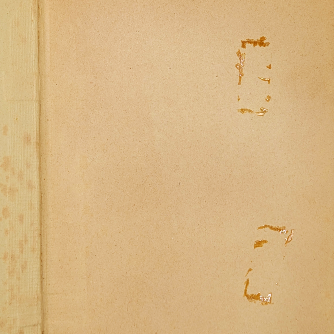 Victorain Book (4).png