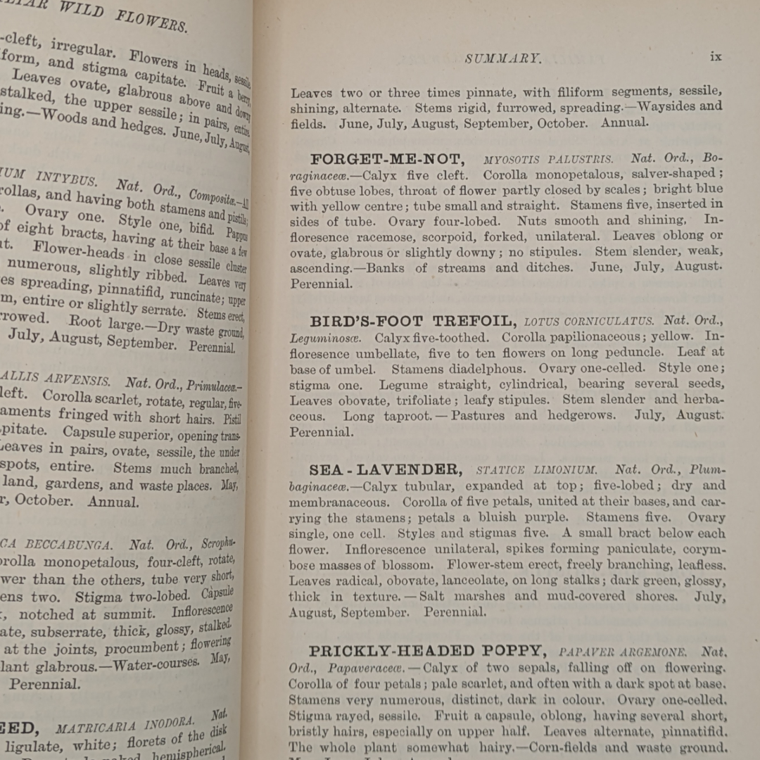wildflower books (6).png