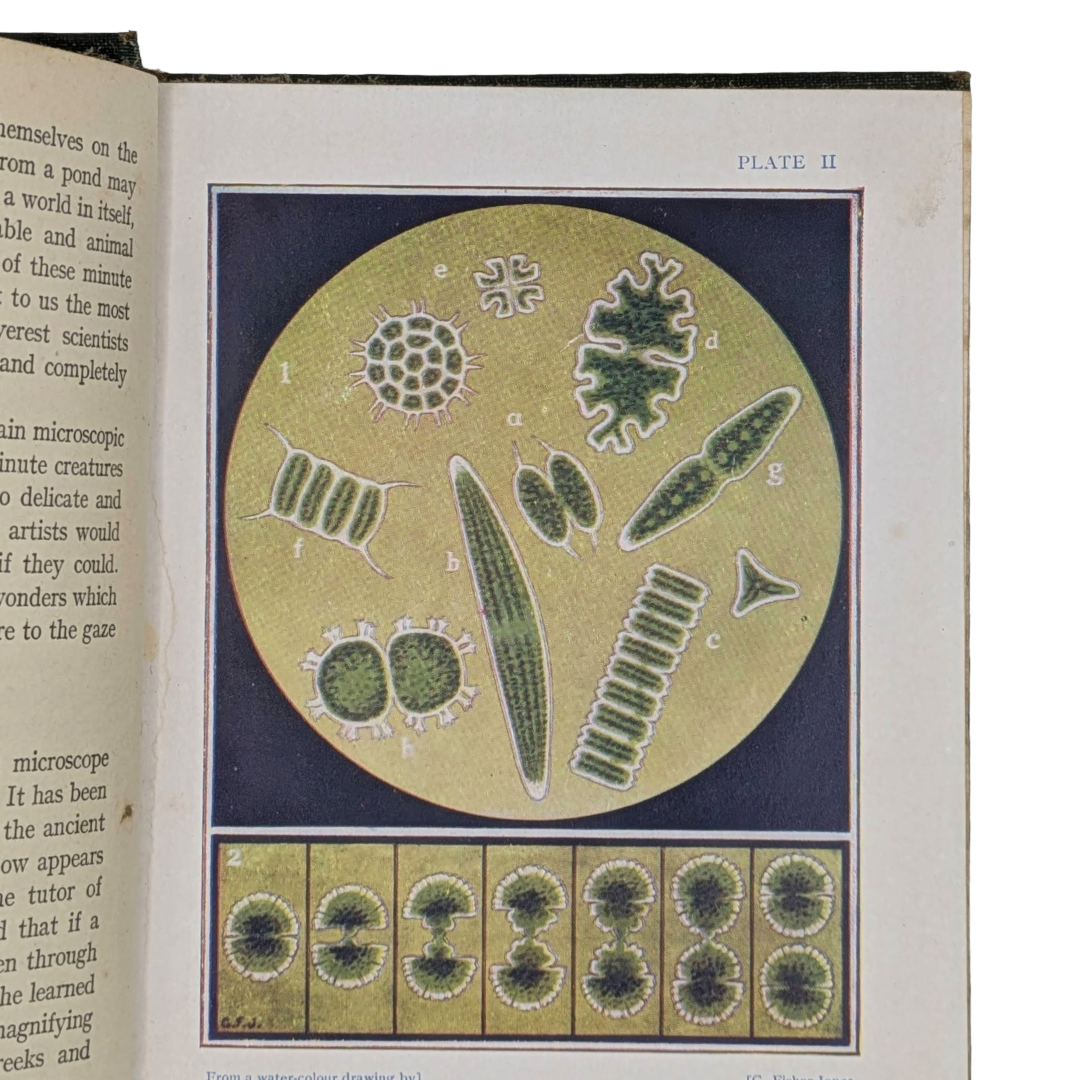 microscope, show to the children vintage book