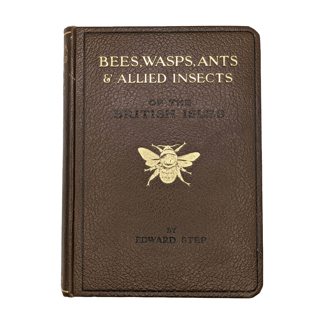 Bees, Insects, 1946