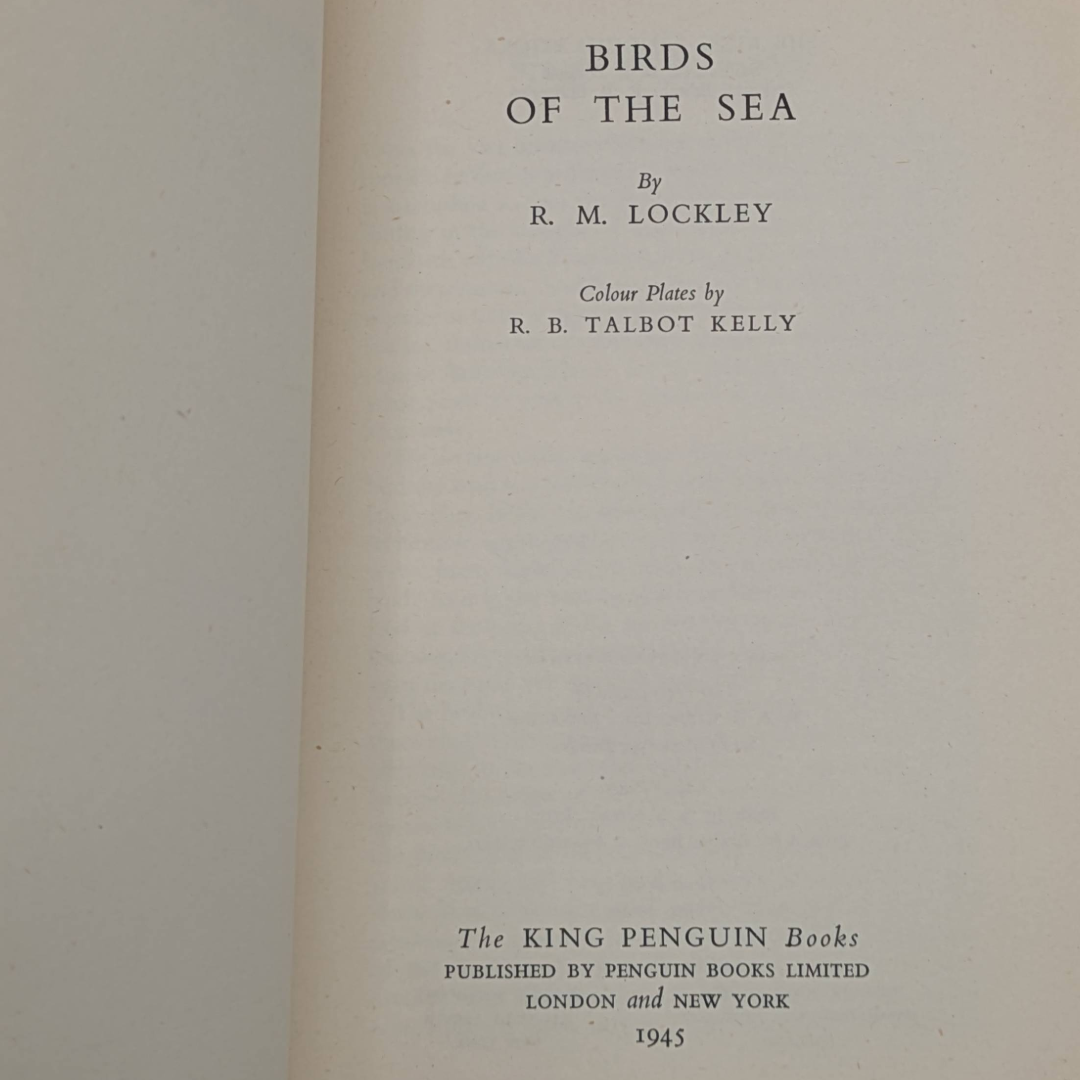 Untitled_20260515_154107.png