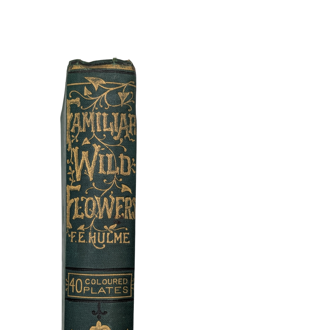 wildflowers book (2).png
