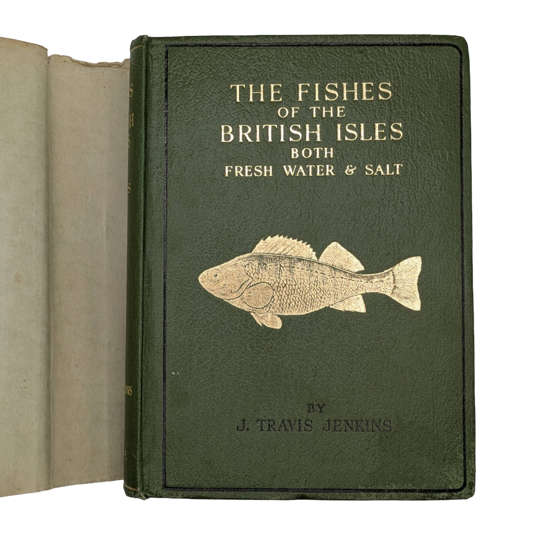 Fishes, 1942 natural history antique book