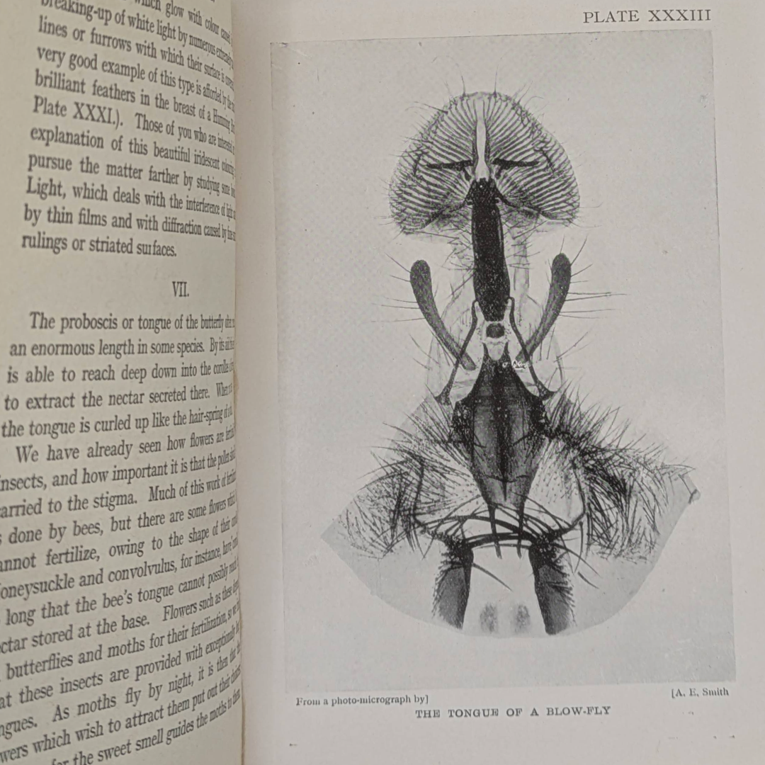 microscope, show to the children vintage book