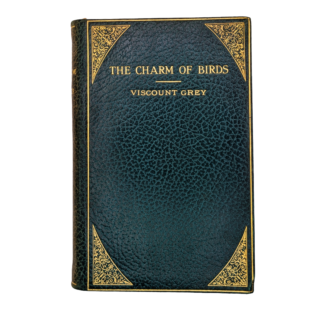 The Charm of Birds