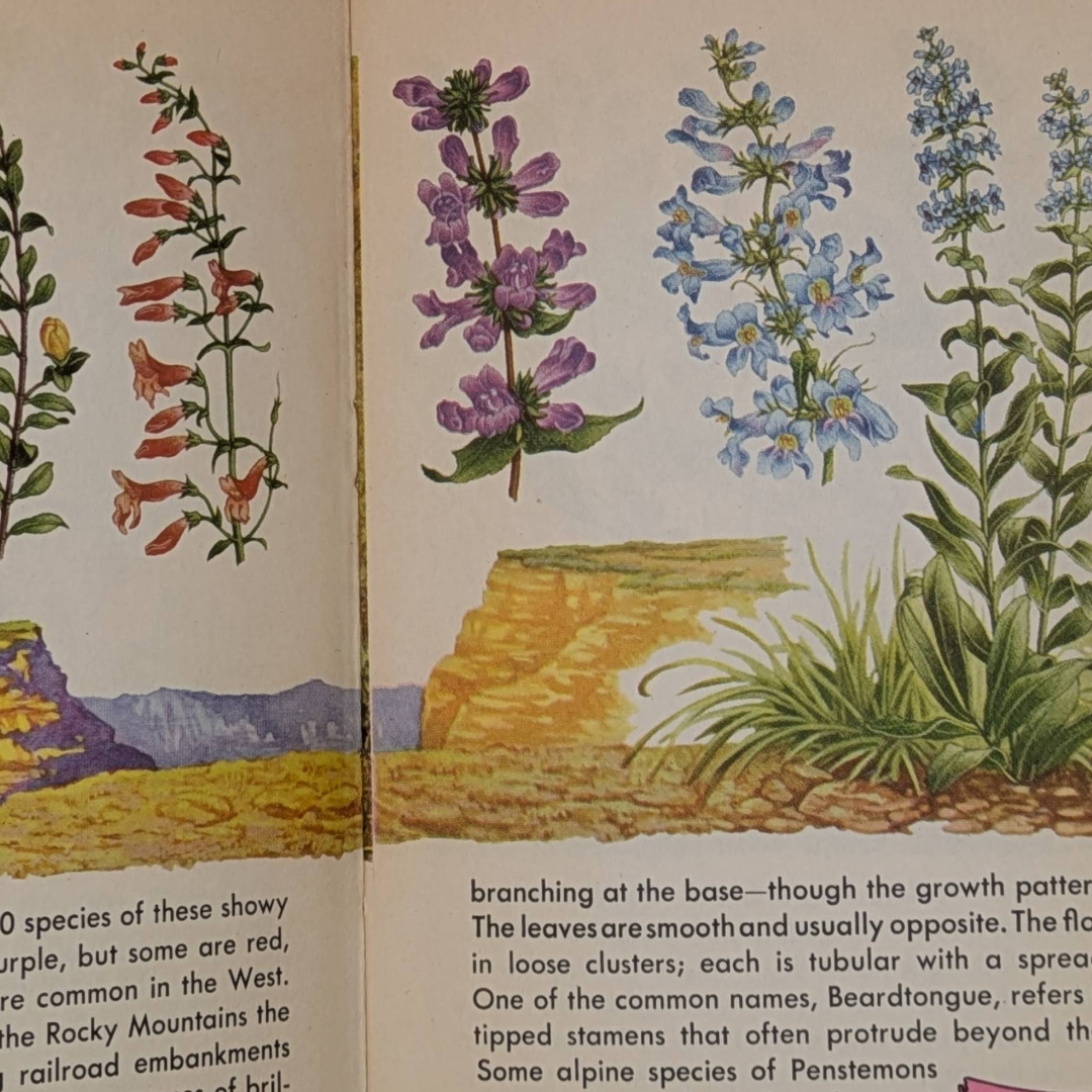Flowers, 1950 botanical colour plates book