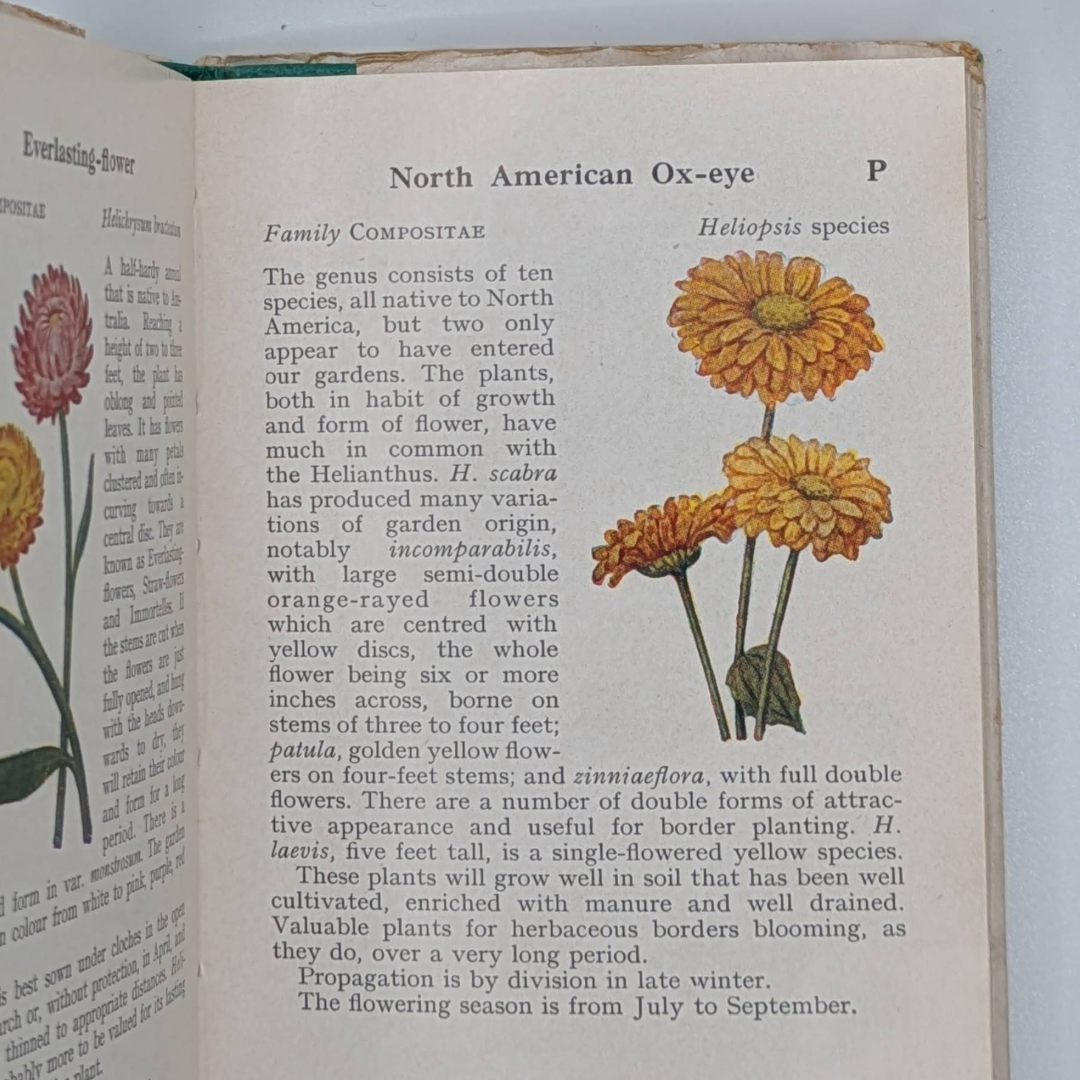 Wild Flowwrs Observer book (7).png