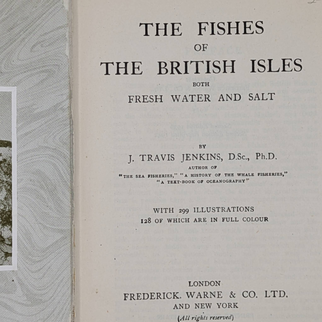 Fishes, 1942 natural history antique book
