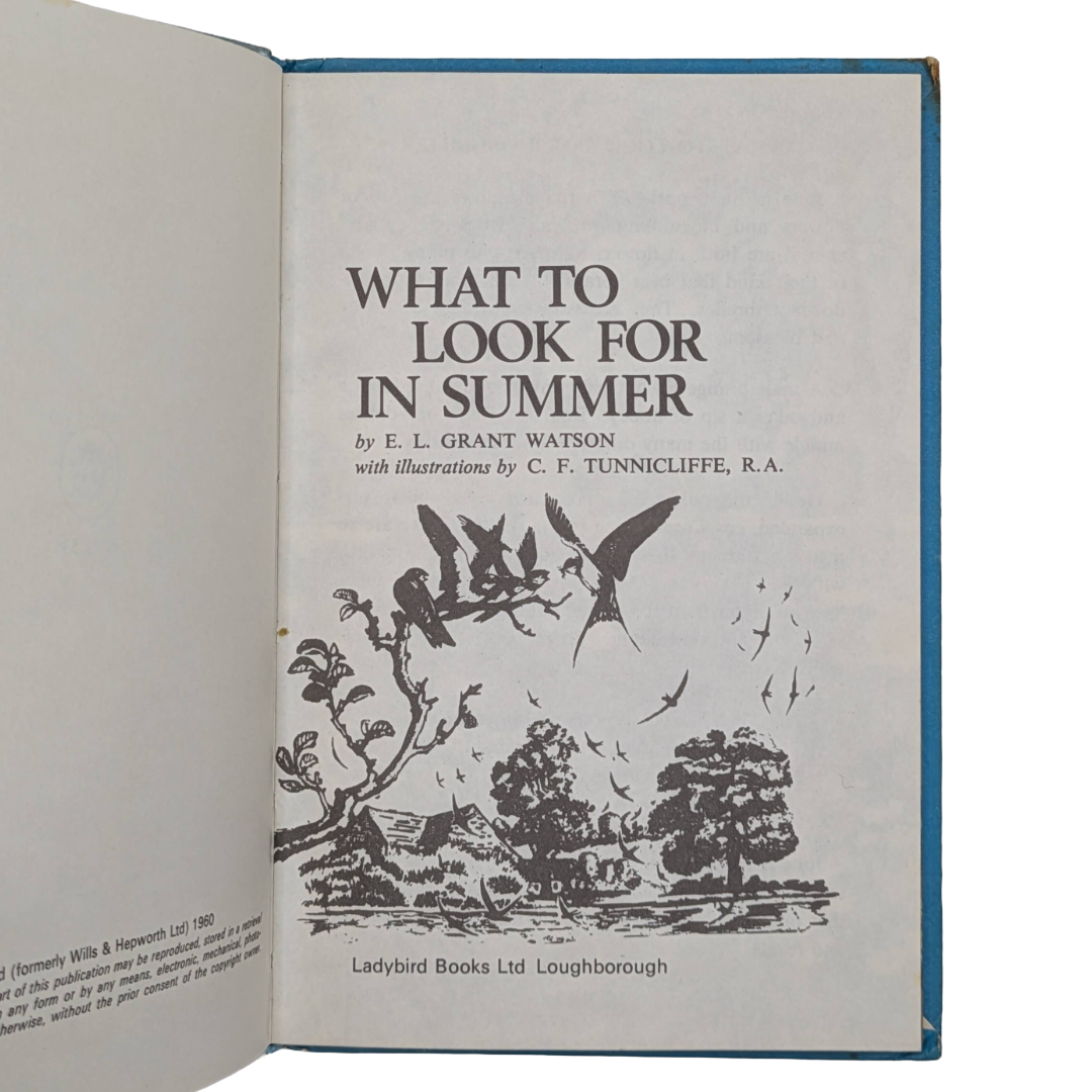 Summer 1960 vintage children's book illustrated colour plates Six Bookshop