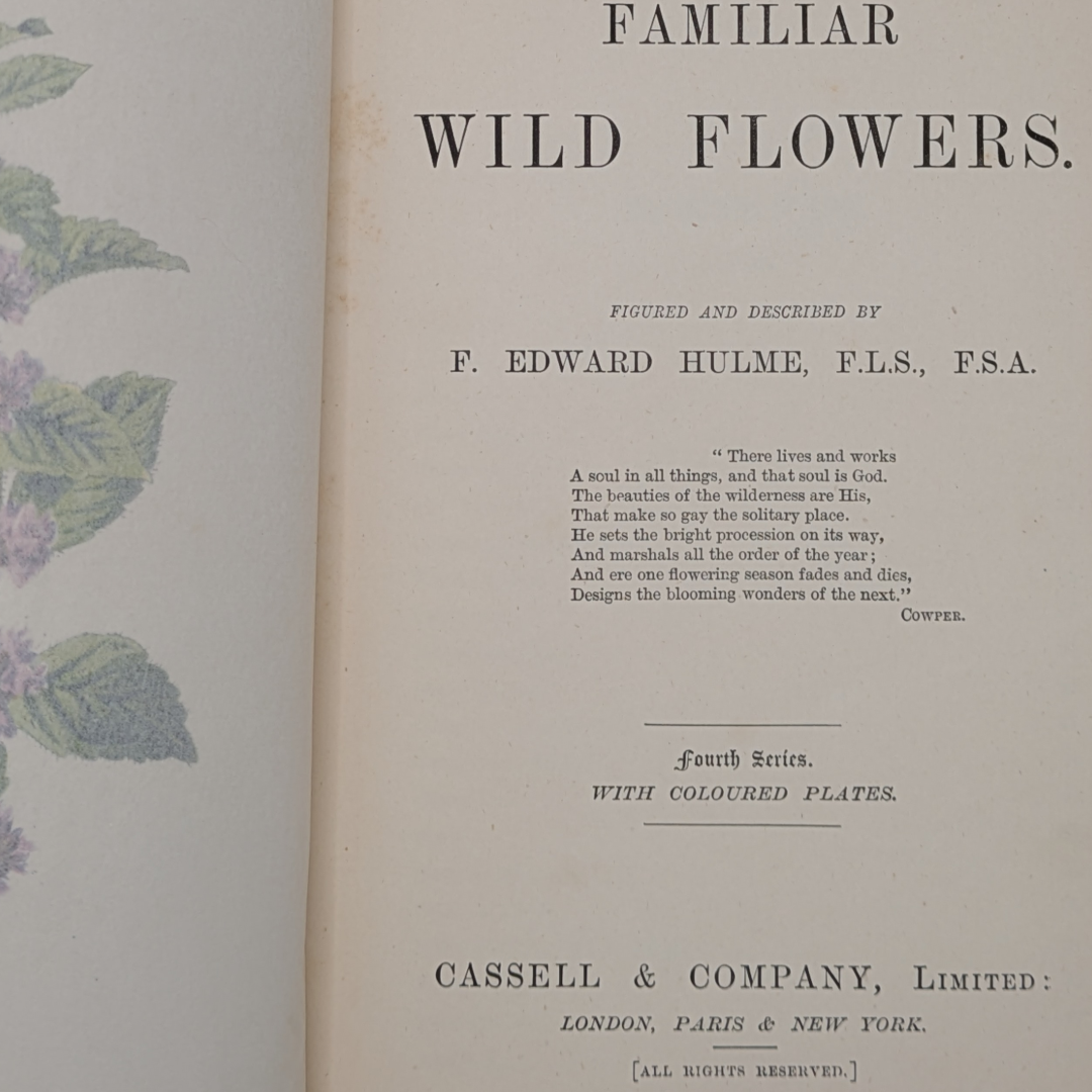 familair wildflowers (4).png