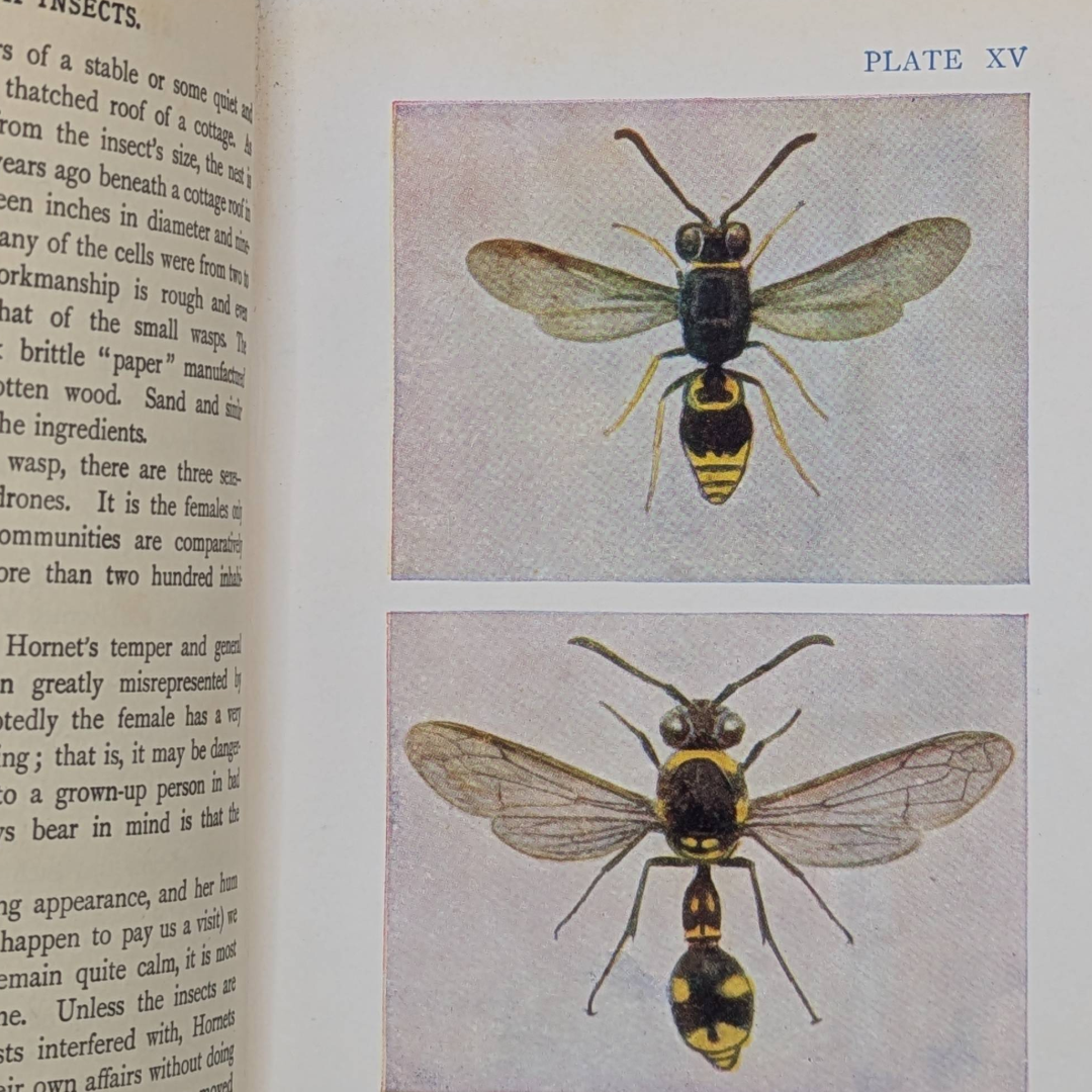 Untitled_20260502_134423.png