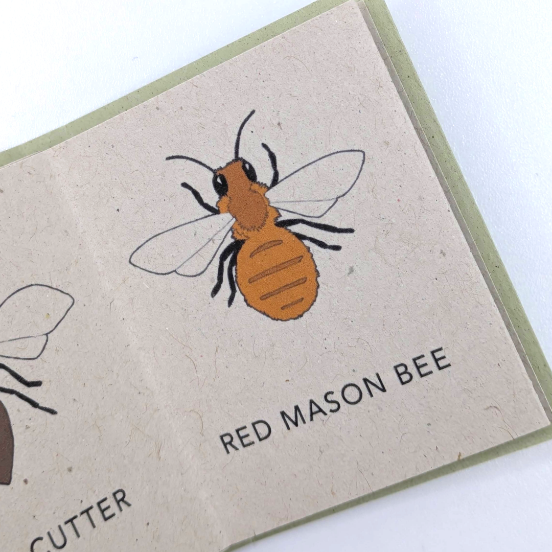 tiny+books+gifts+for+natural+history+%283%29.png