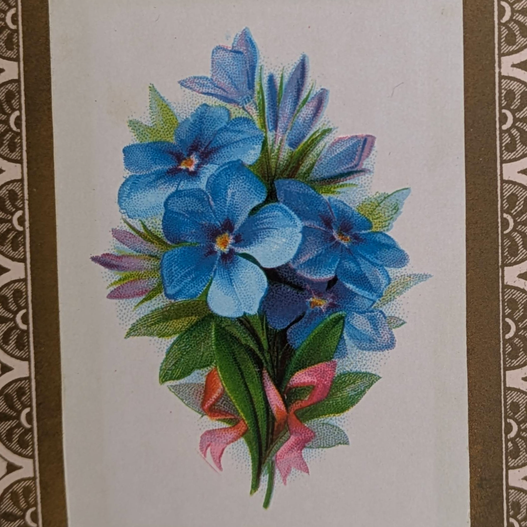 Basket of flowers rare book (9).png