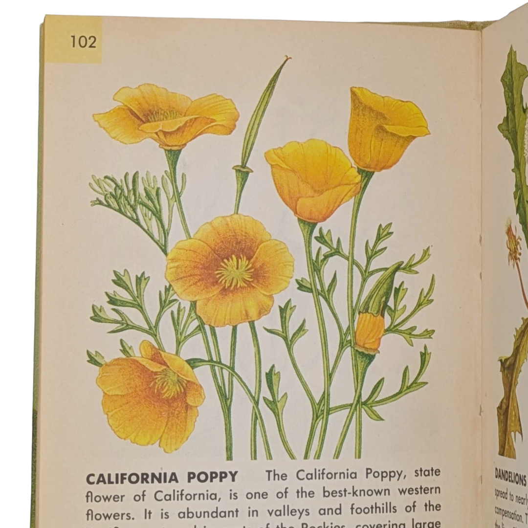 Flowers, 1950 botanical colour plates book