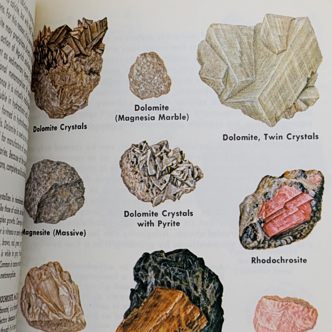Rock & Minerals Book (5).png