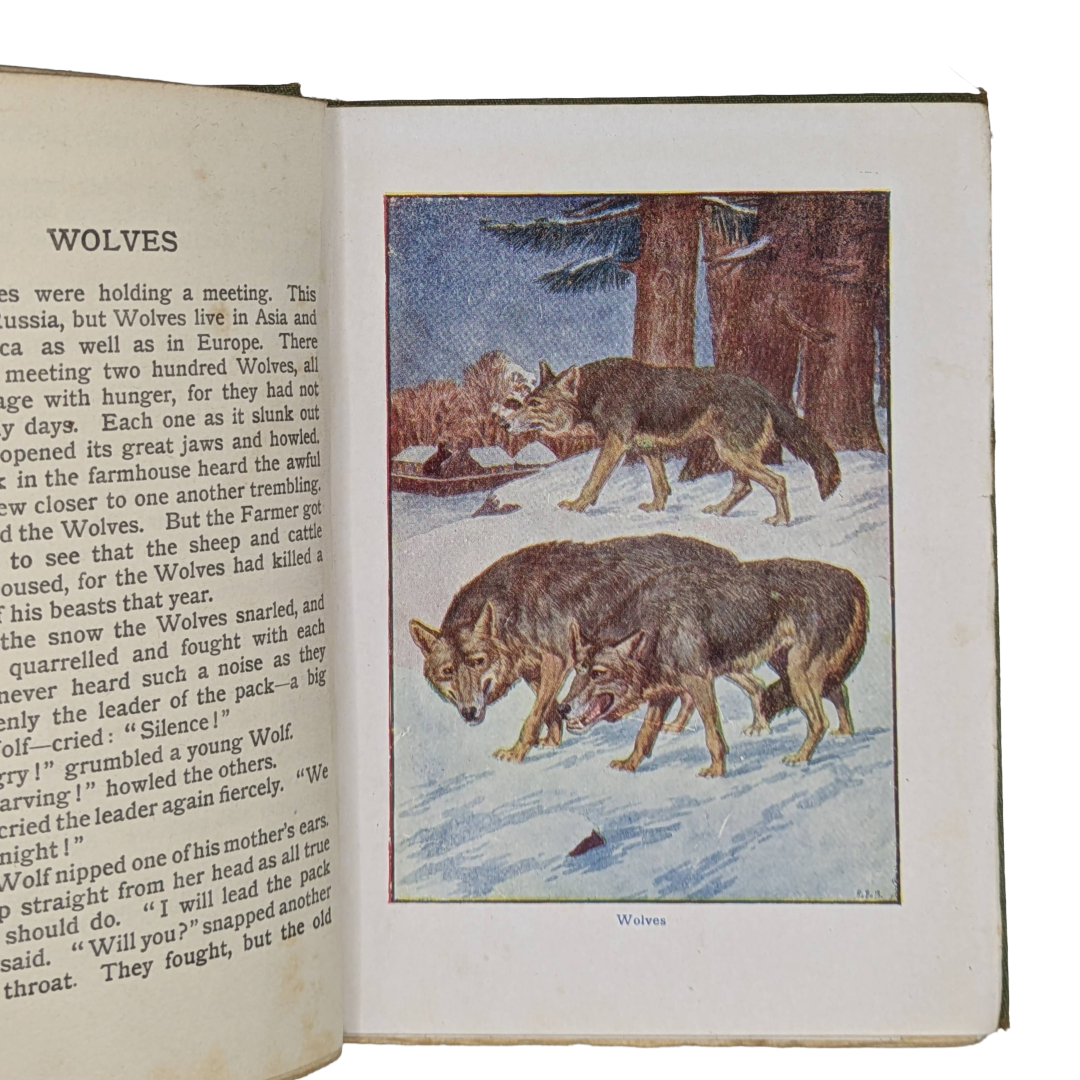 Beasts, show to the children vintage book