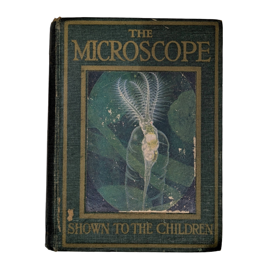 Microscope