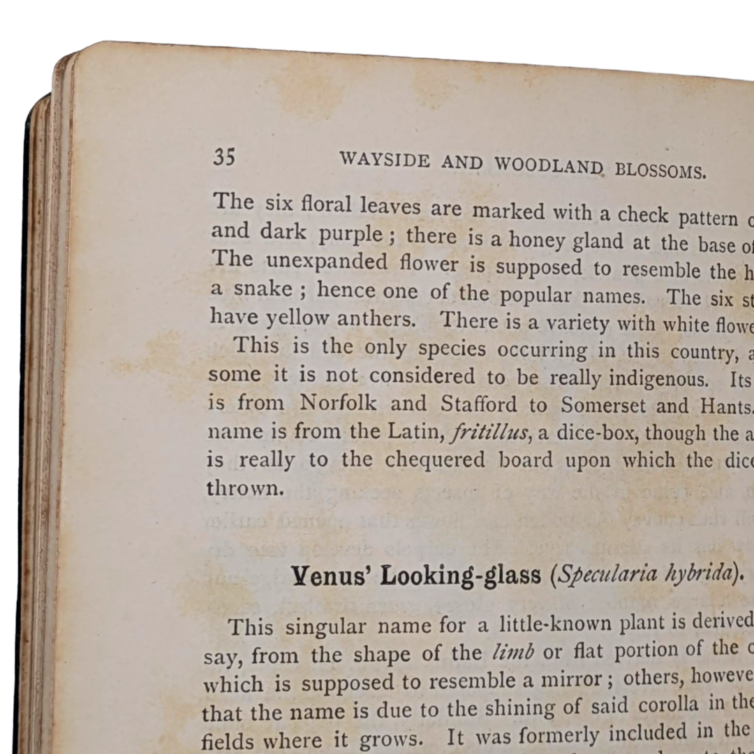 Vintage Nature Book (7).png
